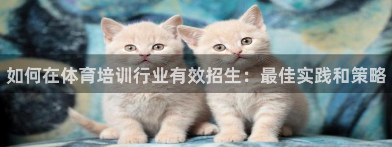 耀世娱乐注册开户：如何在体育培训行业有效招生：最佳实