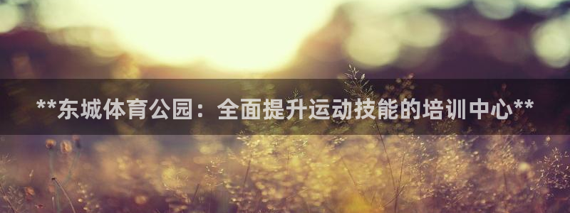 耀世娱乐老板是谁：**东城体育公园：全面提升运动技能
