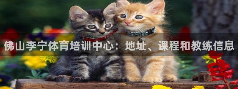 耀世娱乐百科最新：佛山李宁体育培训中心：地址、课程和