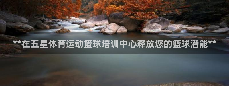 耀世集团视频介绍下载：**在五星体育运动篮球培训中心