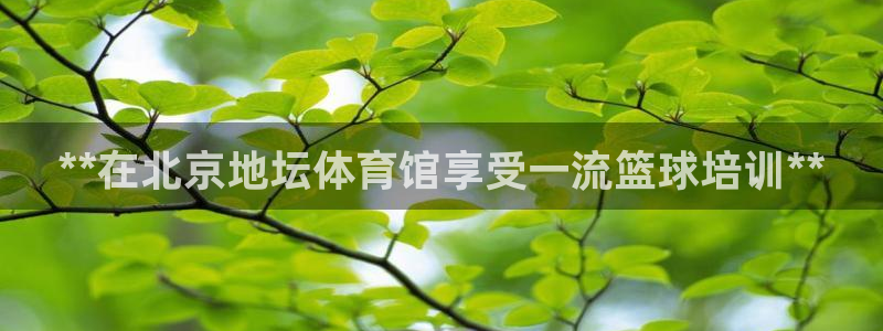 耀世娱乐平台官网登录不了怎么办：**在北京地坛体育馆