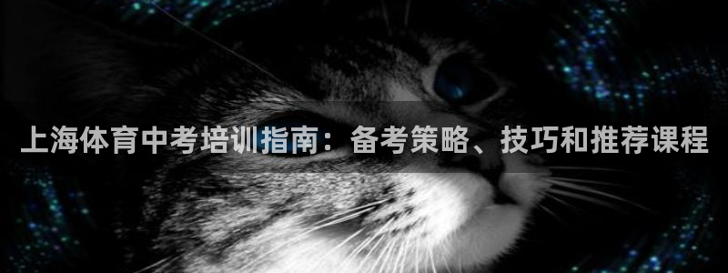 耀世天下的图片唯美：上海体育中考培训指南：备考策略、