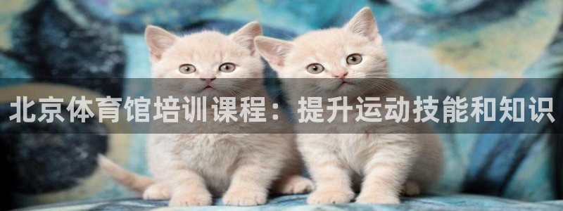 耀世娱乐官方网站下载
