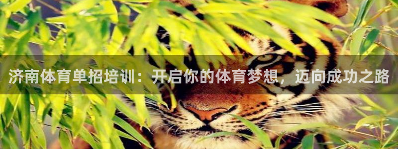 耀世娱乐提现失败：济南体育单招培训：开启你的体育梦想