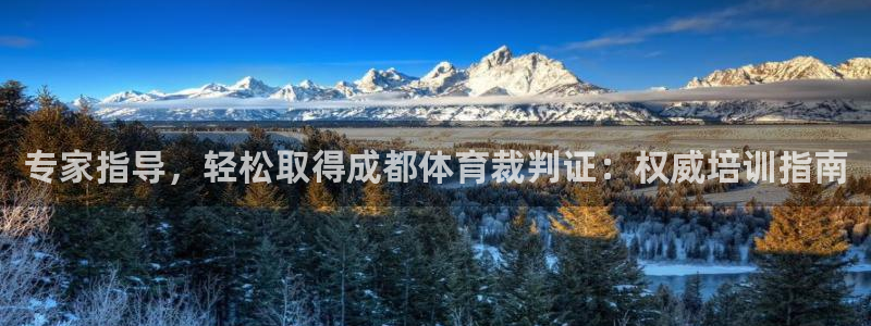 耀世集团王总：专家指导，轻松取得成都体育裁判证：权威