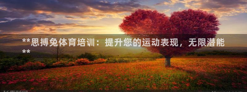 耀世微光mv：**思搏兔体育培训：提升您的运动表现，