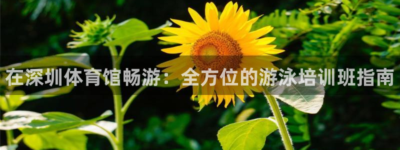 耀世国际平台正规吗可靠吗：在深圳体育馆畅游：全方位的