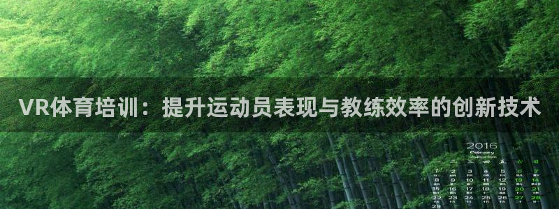 耀世而来是什么意思：VR体育培训：提升运动员表现与教