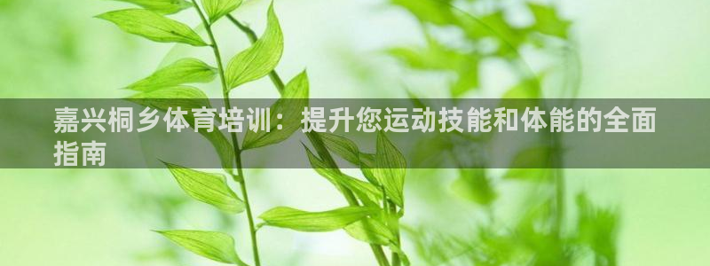 耀世娱乐招商注册 知乎：嘉兴桐乡体育培训：提升您运动