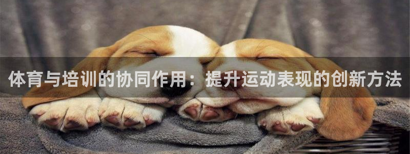 耀世娱乐怎么样：体育与培训的协同作用：提升运动表现的