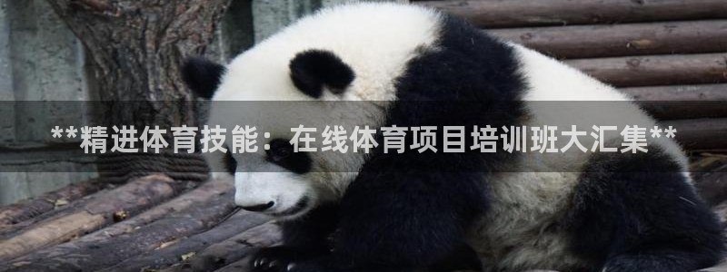 耀世平台注册步骤图：**精进体育技能：在线体育项目培