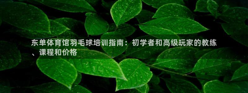 耀世平台卜6.7.5.1.3.8：东单体育馆羽毛球培