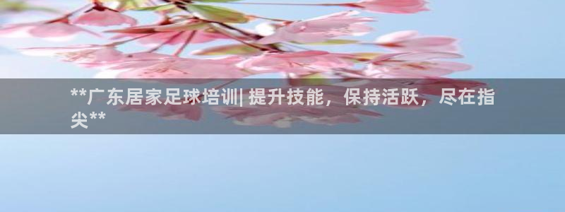 耀世集团是什么电影：**广东居家足球培训| 提升技能