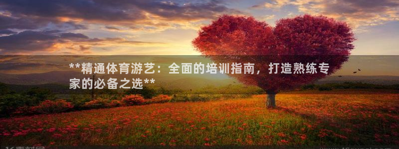 耀世娱乐是什么：**精通体育游艺：全面的培训指南，打