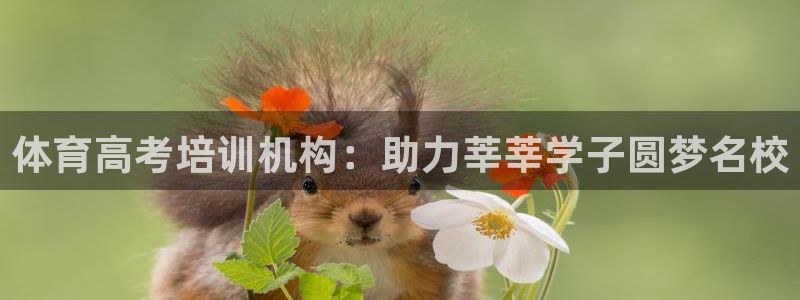耀世平台代理注册登录不了：体育高考培训机构：助力莘莘