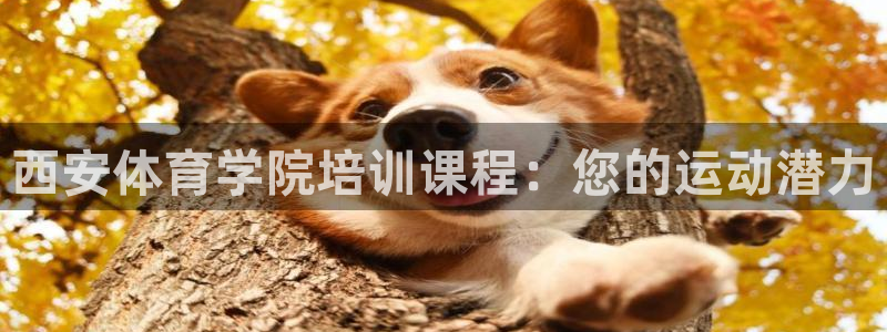 耀世意思：西安体育学院培训课程：您的运动潜力