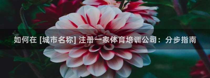 哪吒s耀世版价格：如何在 [城市名称] 注册一家体育