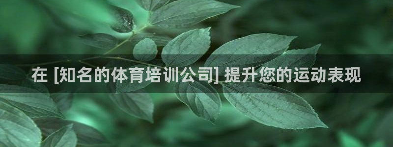 耀世娱乐可以玩吗：在 [知名的体育培训公司] 提升您