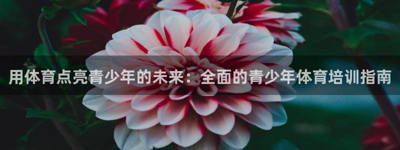 耀世娱乐是个什么平台：用体育点亮青少年的未来：全面的