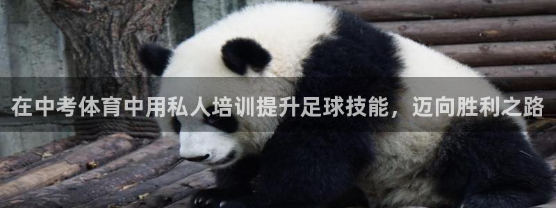 耀世娱乐辅助软件下载：在中考体育中用私人培训提升足球