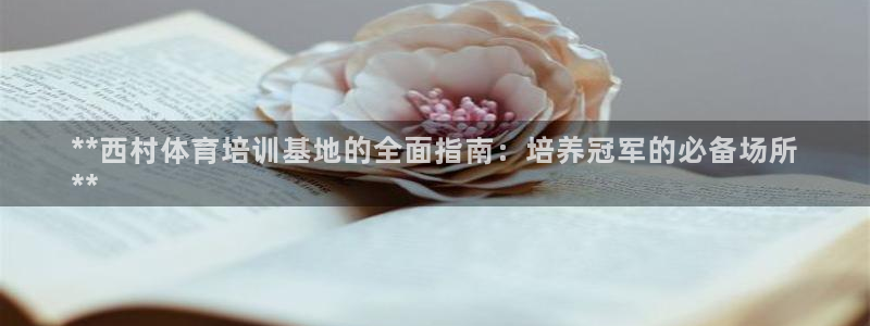 耀世平台总代理：**西村体育培训基地的全面指南：培养