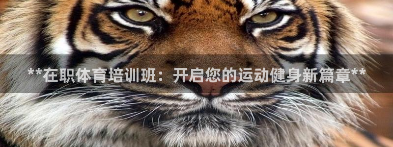 耀世娱乐平台注册地址在哪里找：**在职体育培训班：开