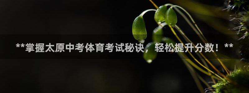 耀世平台代理怎么做：**掌握太原中考体育考试秘诀，轻