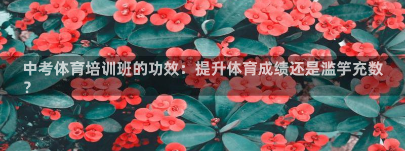 耀世是什么游戏里的人物：中考体育培训班的功效：提升体
