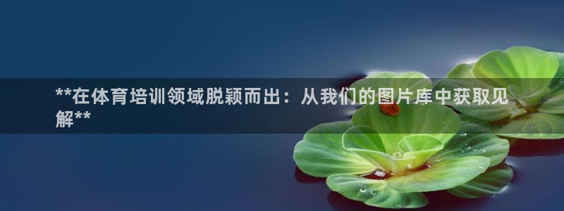 耀世平台代理怎么做：**在体育培训领域脱颖而出：从我