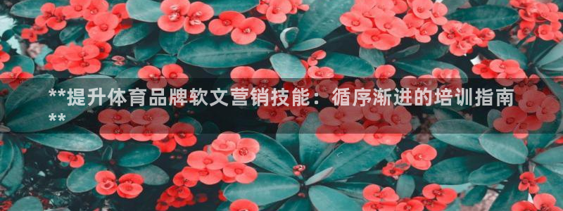 耀世金生产品介绍：**提升体育品牌软文营销技能：循序