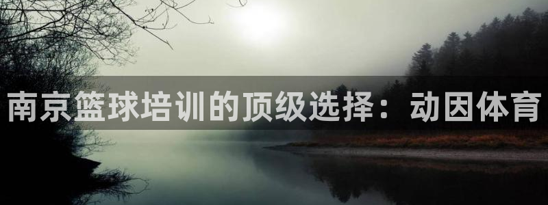 耀世天下的意思：南京篮球培训的顶级选择：动因体育