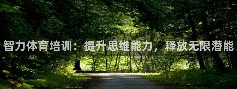耀世娱乐的494o3 主管：智力体育培训：提升思维能