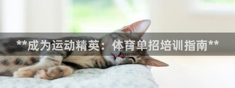 耀世集团是干嘛的企业啊：**成为运动精英：体育单招培