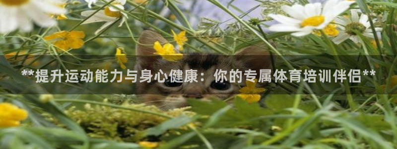 耀世平台代理注册登录：**提升运动能力与身心健康：你