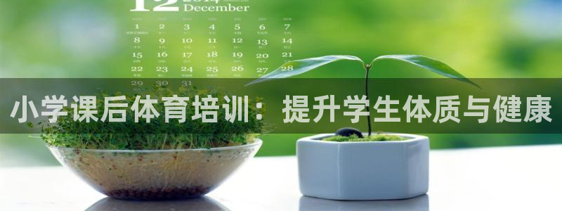 耀世平台开户流程图：小学课后体育培训：提升学生体质与