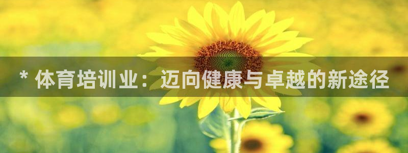 耀世平台升 5O6917 平台：* 体育培训业：迈向