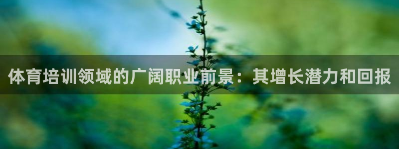 耀世第二关：体育培训领域的广阔职业前景：其增长潜力和