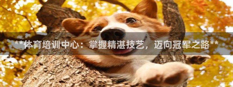 耀世平台哪个彩种是公平彩的：**体育培训中心：掌握精