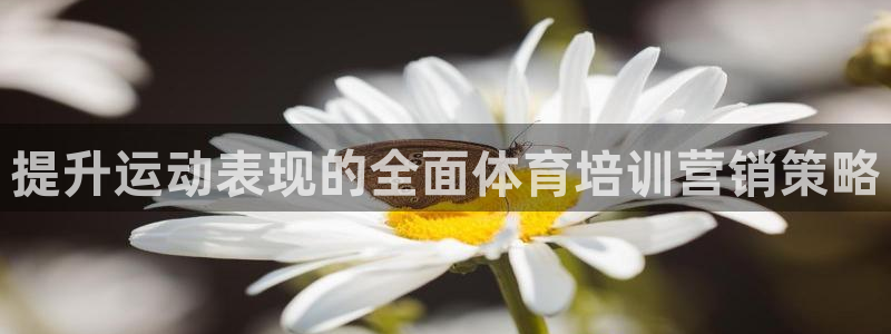 耀世娱乐注册官网：提升运动表现的全面体育培训营销策略