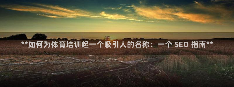 耀世娱乐可以玩吗是真的吗：**如何为体育培训起一个吸