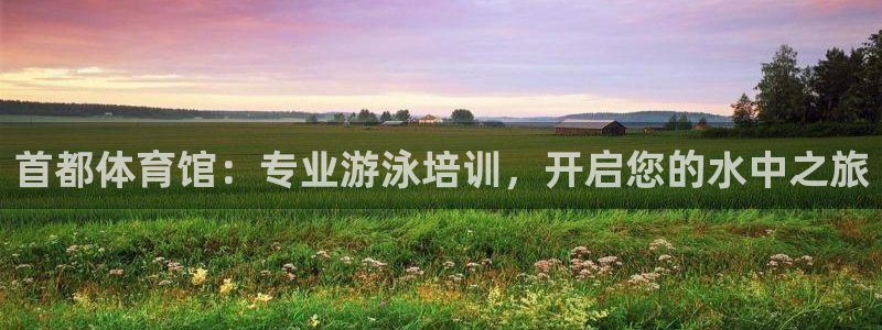 耀世国际平台正规吗安全吗可靠吗：首都体育馆：专业游泳培训，开