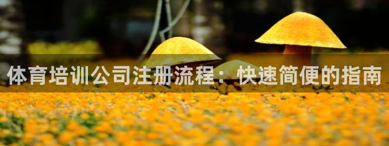 耀世平台最新注册地址是哪里：体育培训公司注册流程：快