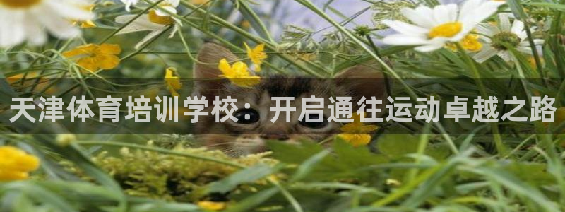 耀世娱乐平台官网