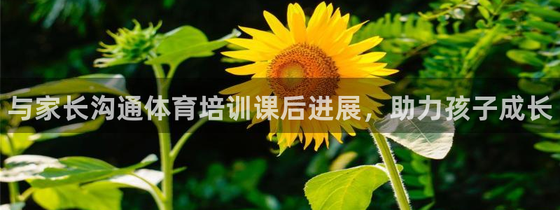 耀世娱乐下载最新版本安装苹果：与家长沟通体育培训课后