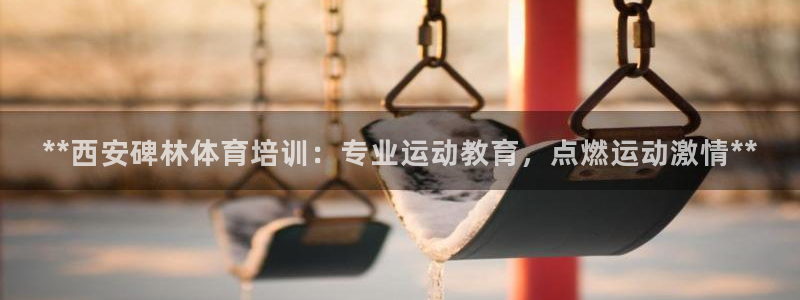 耀世娱乐注册登陆：**西安碑林体育培训：专业运动教育