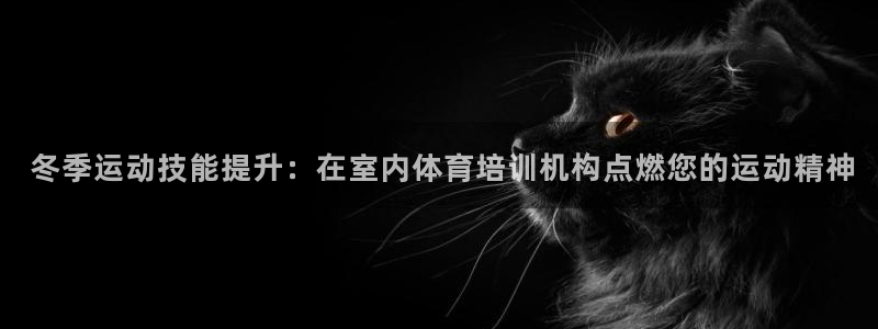 耀世平台开户要求是什么： 冬季运动技能提升：在室内体