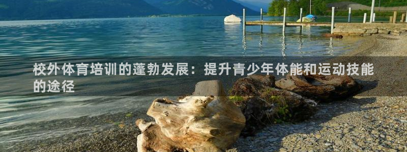 耀世平台间7O777：校外体育培训的蓬勃发展：提升青
