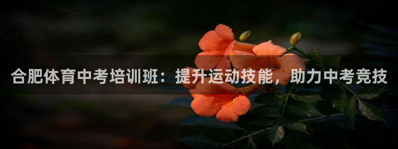 耀世集团是干嘛的：合肥体育中考培训班：提升运动技能，