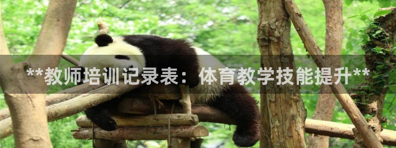 耀世平台注册登录