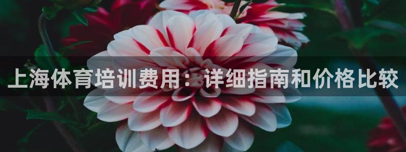 耀世传说：上海体育培训费用：详细指南和价格比较